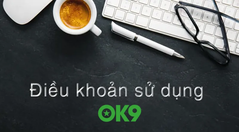 Điều Kiện Sử Dụng OK9 Hướng Dẫn Chi Tiết An Toàn Cho Người Dùng