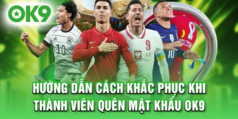 Hướng dẫn khắc phục các lỗi thường gặp khi Đăng nhập OK9