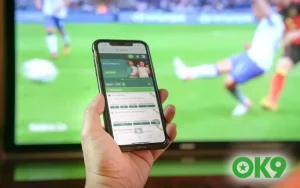 Mẹo chơi và cách đánh kèo rung running odds tại Nhà cái OK9